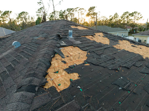Best Gutter Installation and Repair  in Mechanicsburg, PA